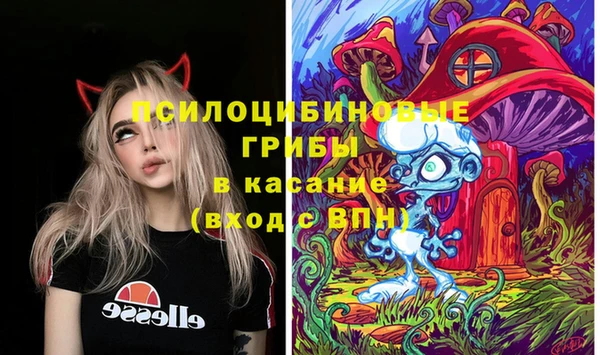 PSILOCYBIN Волосово