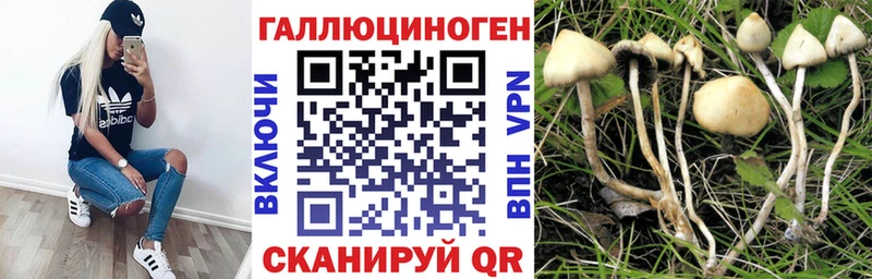 Галлюциногенные грибы мухоморы  МЕГА ссылки  Любань 
